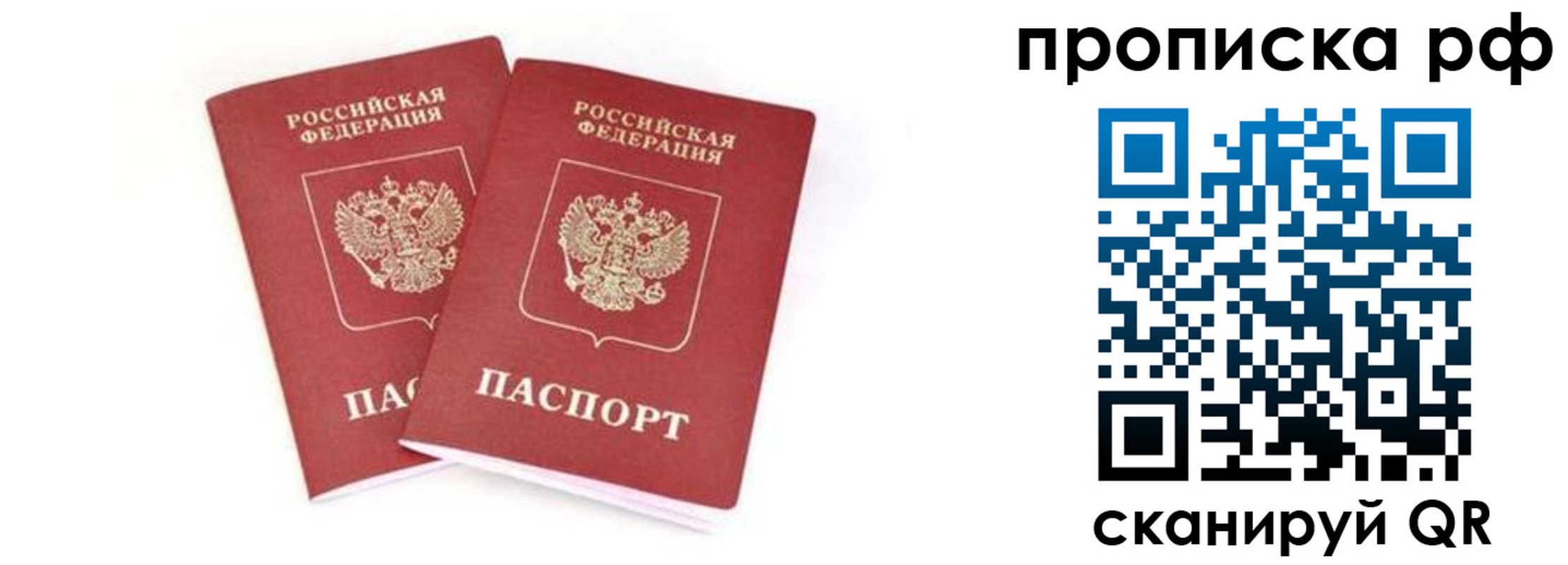 прописка поиск в Бердске